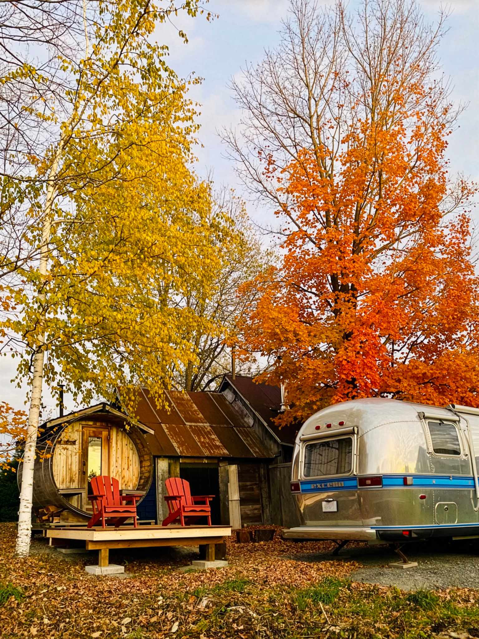 A wood-fired sauna and vintage Airstream trailer among autumn trees at THE SON farm